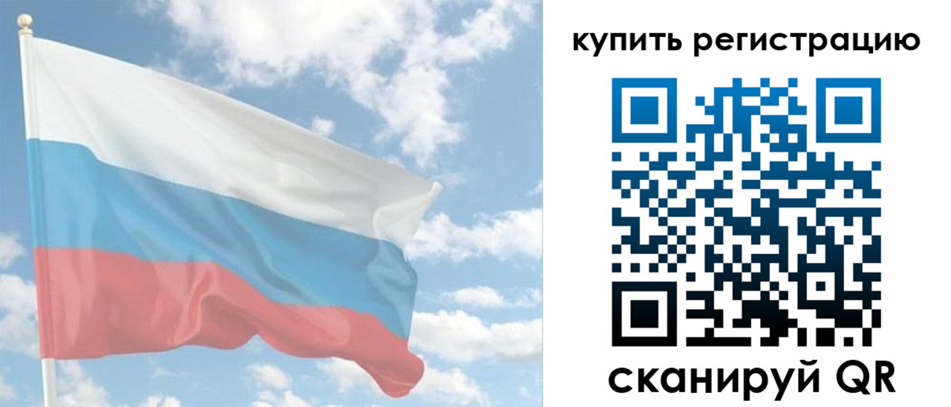 прописка гарантия в Королёве
